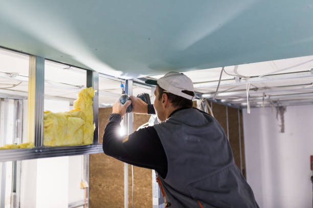 Best Insulation Contractors for Homes  in Powdersville, SC