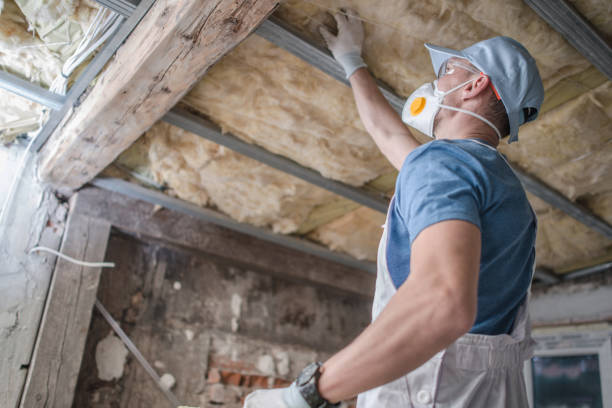 Best Insulation Replacement Services  in Powdersville, SC