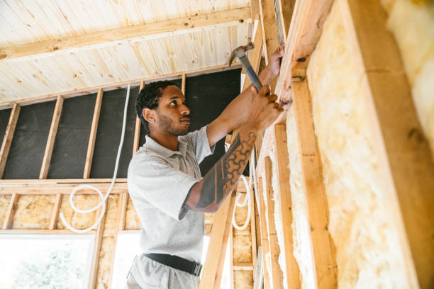 Best Professional Insulation Contractor  in Powdersville, SC