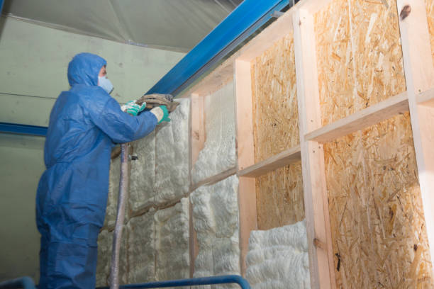 Best Insulation Repair Services  in Powdersville, SC