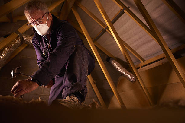 Best Insulation Contractor Near Me  in Powdersville, SC